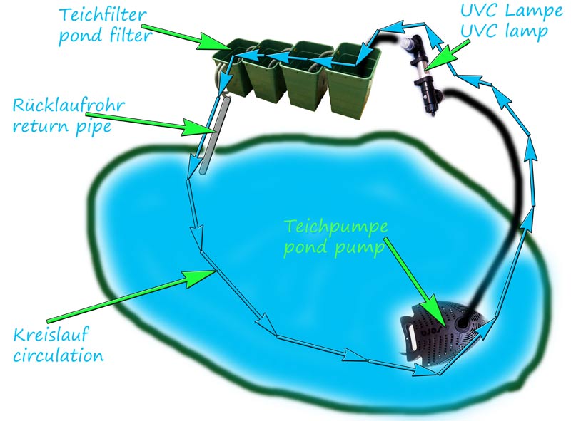 teichfilter-standort-wo