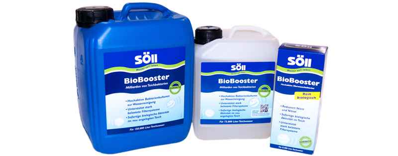 Teichbakterien von Söll Teichpflege