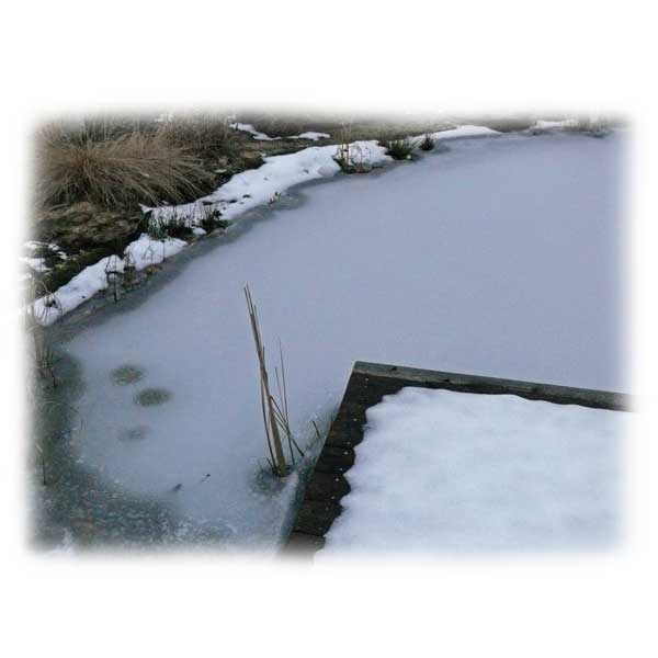 winter-am-teich-mit-eisdecke