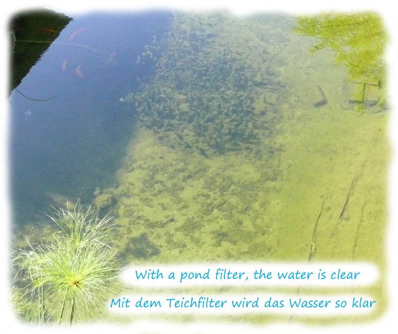 glasklares-teichwasser-mit-der-richtigen-filteranlage