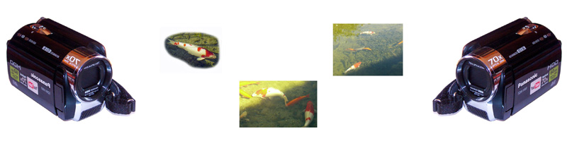 koi-video-teich-banner